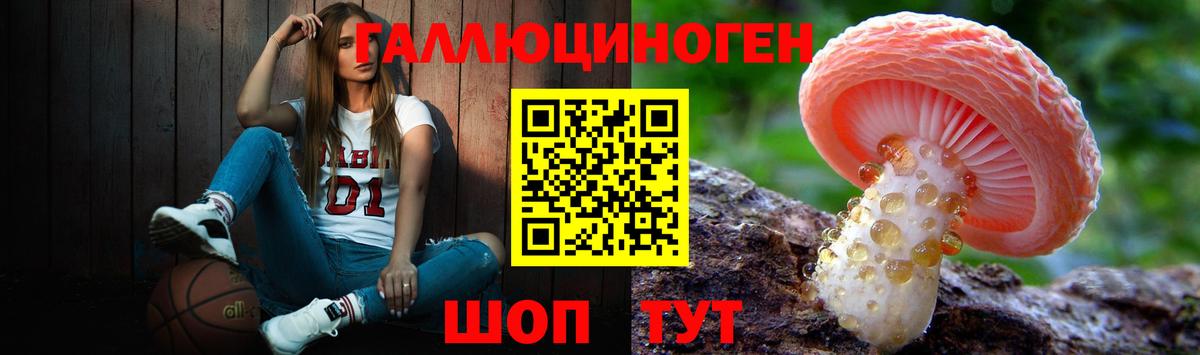 Галлюциногенные грибы Psilocybe Кизляр