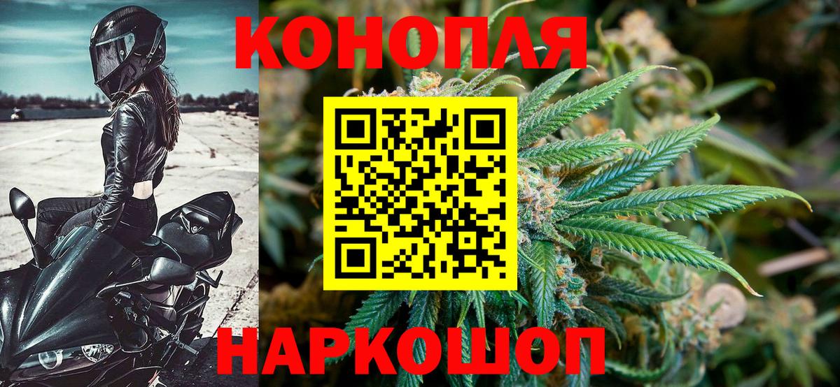 Каннабис ГИДРОПОН Кизляр